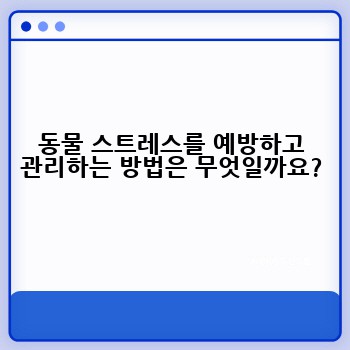 동물 스트레스를 예방하고 관리하는 방법은 무엇일까요?