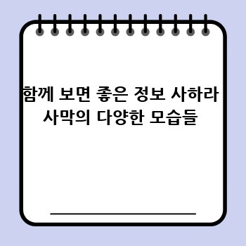 함께 보면 좋은 정보 사하라 사막의 다양한 모습들