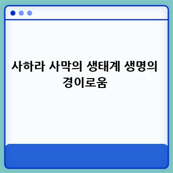 사하라 사막의 생태계 생명의 경이로움