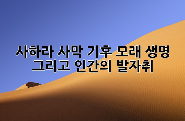사하라 사막: 기후, 모래, 생명, 그리고 인간의 발자취