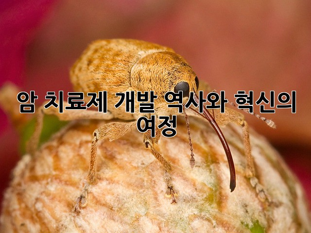 암 치료제 개발: 역사와 혁신의 여정
