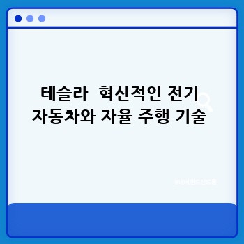 테슬라  혁신적인 전기 자동차와 자율 주행 기술