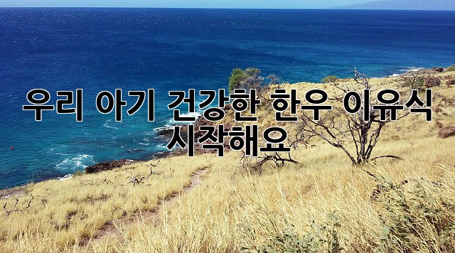 우리 아기, 건강한 한우 이유식 시작해요!