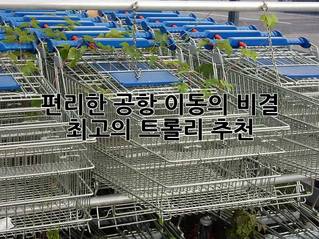 편리한 공항 이동의 비결! 최고의 트롤리 추천