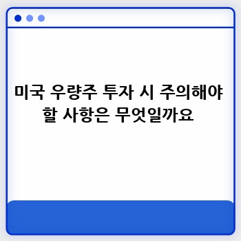 미국 우량주 투자 시 주의해야 할 사항은 무엇일까요