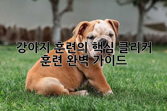 강아지 훈련의 핵심, 클리커 훈련 완벽 가이드