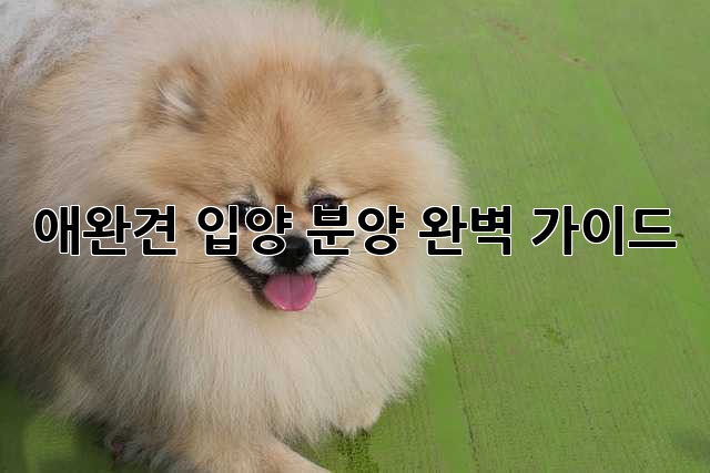 애완견 입양, 분양 완벽 가이드