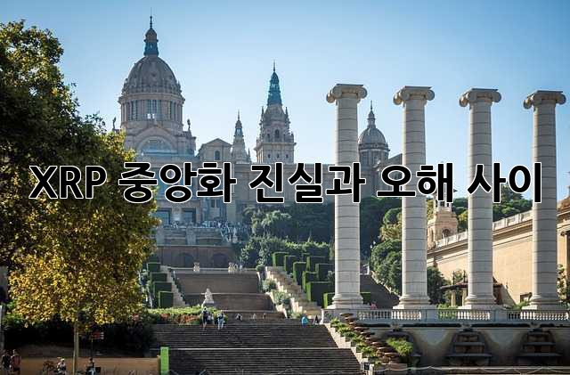 XRP 중앙화: 진실과 오해 사이