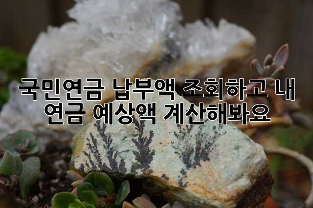 국민연금 납부액 조회하고 내 연금 예상액 계산해봐요!