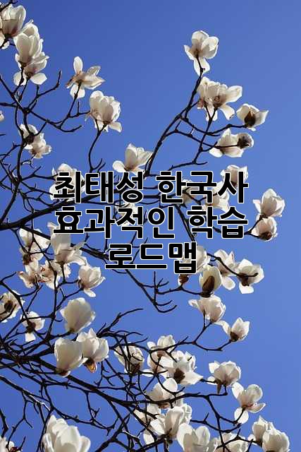 최태성 한국사, 효과적인 학습 로드맵