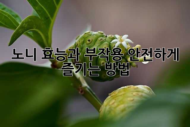 노니 효능과 부작용, 안전하게 즐기는 방법!