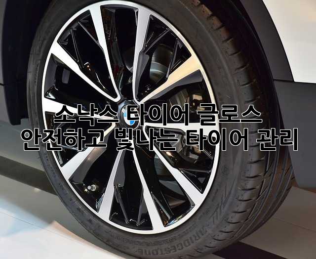 소낙스 타이어 글로스: 안전하고 빛나는 타이어 관리