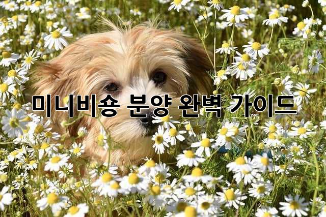 미니비숑 분양, 완벽 가이드🐶