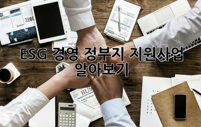 ESG 경영 정부지 지원사업 알아보기
