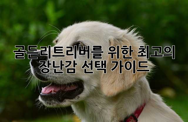 골든리트리버를 위한 최고의 장난감 선택 가이드