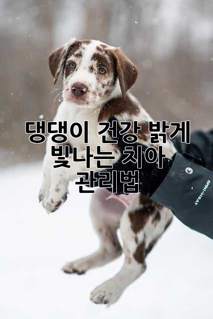 댕댕이 건강, 밝게 빛나는 치아 관리법!