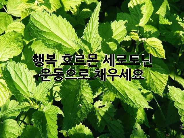 행복 호르몬 세로토닌, 운동으로 채우세요!