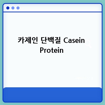 카제인 단백질 Casein Protein