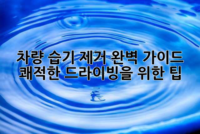 차량 습기 제거 완벽 가이드: 쾌적한 드라이빙을 위한 팁