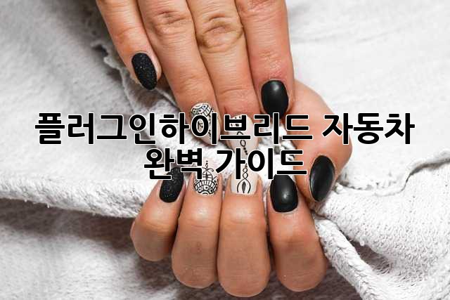 플러그인하이브리드 자동차 완벽 가이드