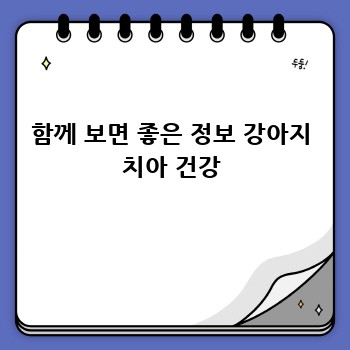 함께 보면 좋은 정보 강아지 치아 건강