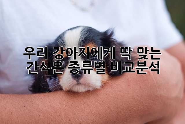 우리 강아지에게 딱 맞는 간식은? 종류별 비교분석!