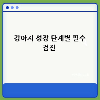  강아지 성장 단계별 필수 검진