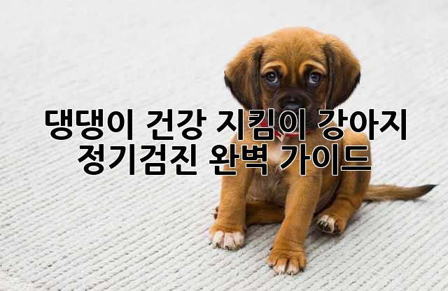 댕댕이 건강 지킴이! 강아지 정기검진 완벽 가이드