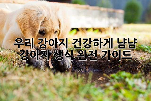 우리 강아지, 건강하게 냠냠! 강아지 생식 완전 가이드