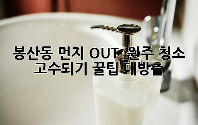 봉산동 먼지 OUT! ✨ 원주 청소 고수되기 꿀팁 대방출 🏡