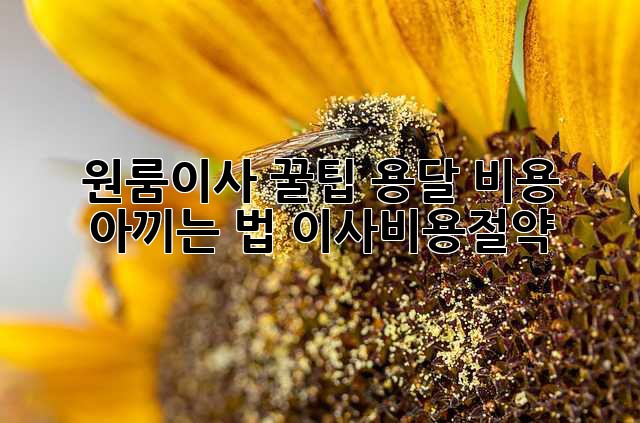 원룸이사 꿀팁🍯 용달 비용 아끼는 법! #이사비용절약