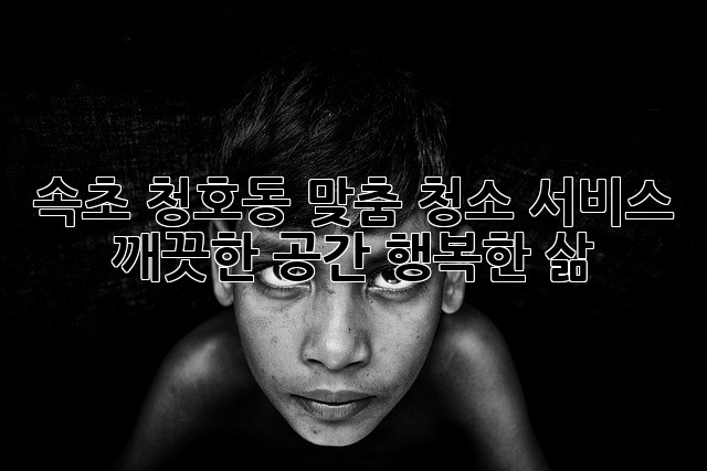 속초 청호동 맞춤 청소 서비스: 깨끗한 공간, 행복한 삶